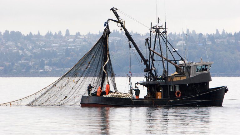commercial fishing boat.