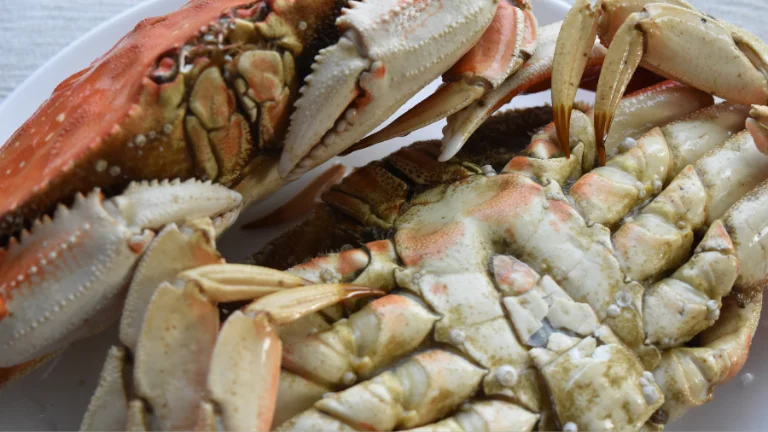 Dungeness Crab.