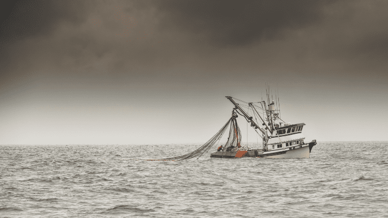 A fishing vessel on the open ocean in dark sepia tones.